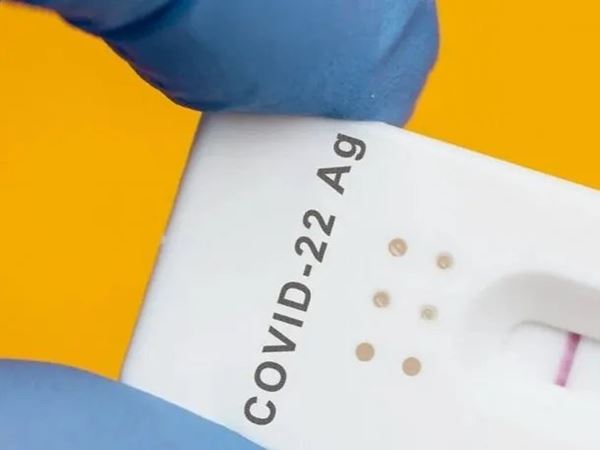 Centaurus: cómo es la nueva variante del Covid-19 que alerta a la OMS