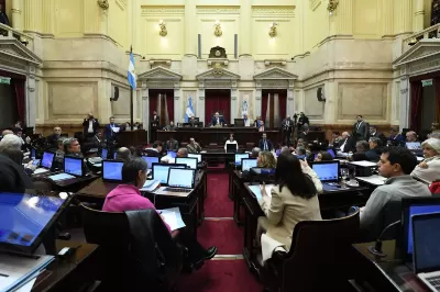 El Senado rechazó el veto a la emergencia en Discapacidad