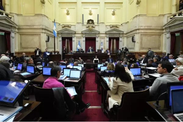El Senado rechazó el veto a la emergencia en Discapacidad